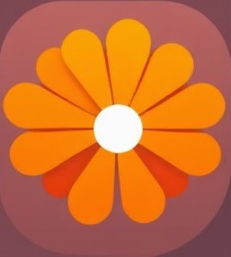 Calendula